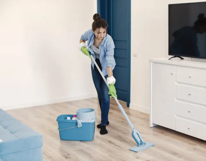 Femme de ménage Saint-Loup-Lamairé